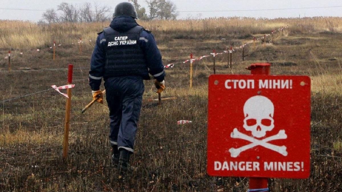 Украинские и эстонские саперы обменяются опытом в рамках совместных учений Украинские и эстонские саперы обменяются опытом в рамках совместных учений