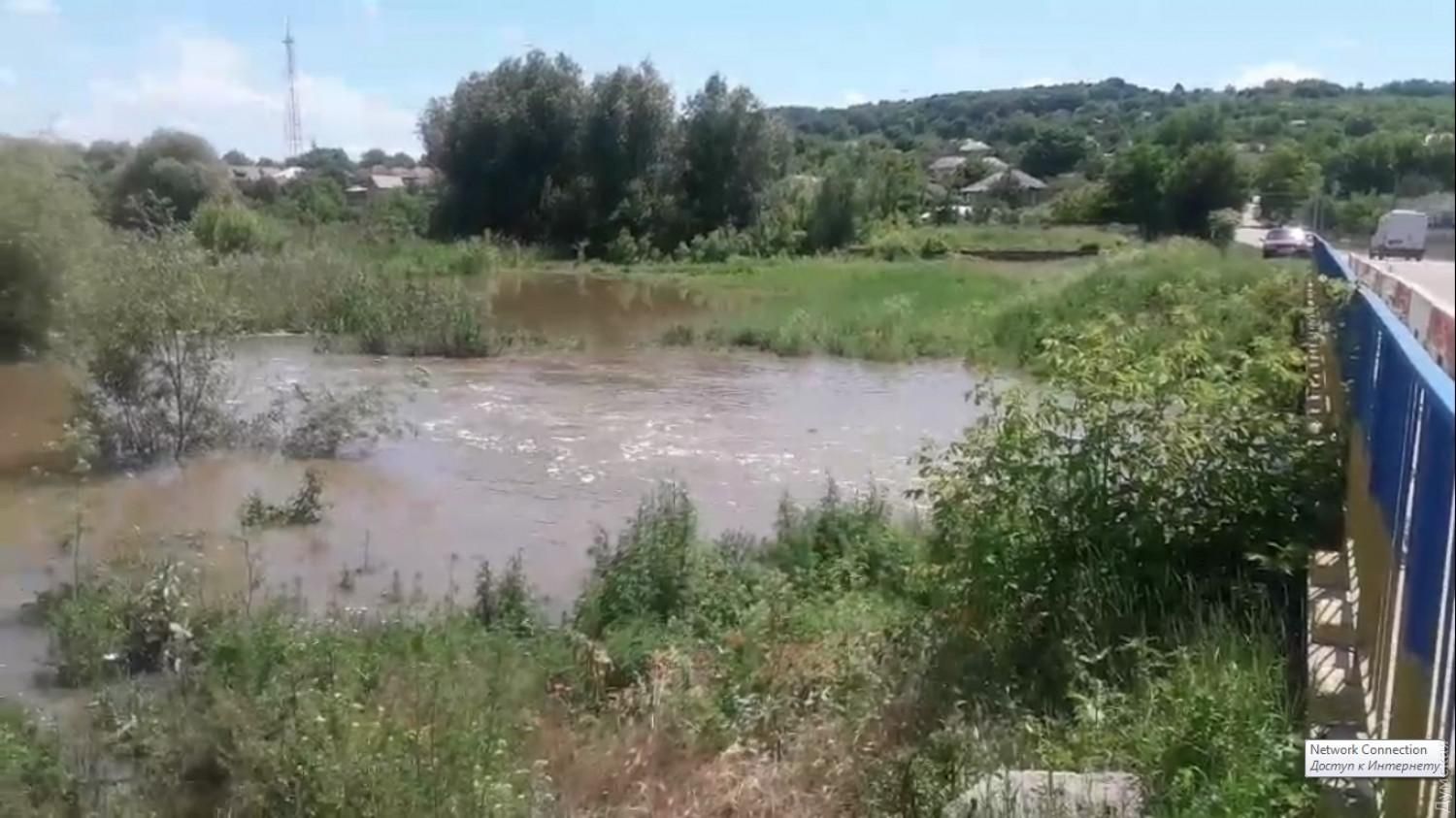 Сильна негода на Одещині: з річок викидає рибу – фото та відео