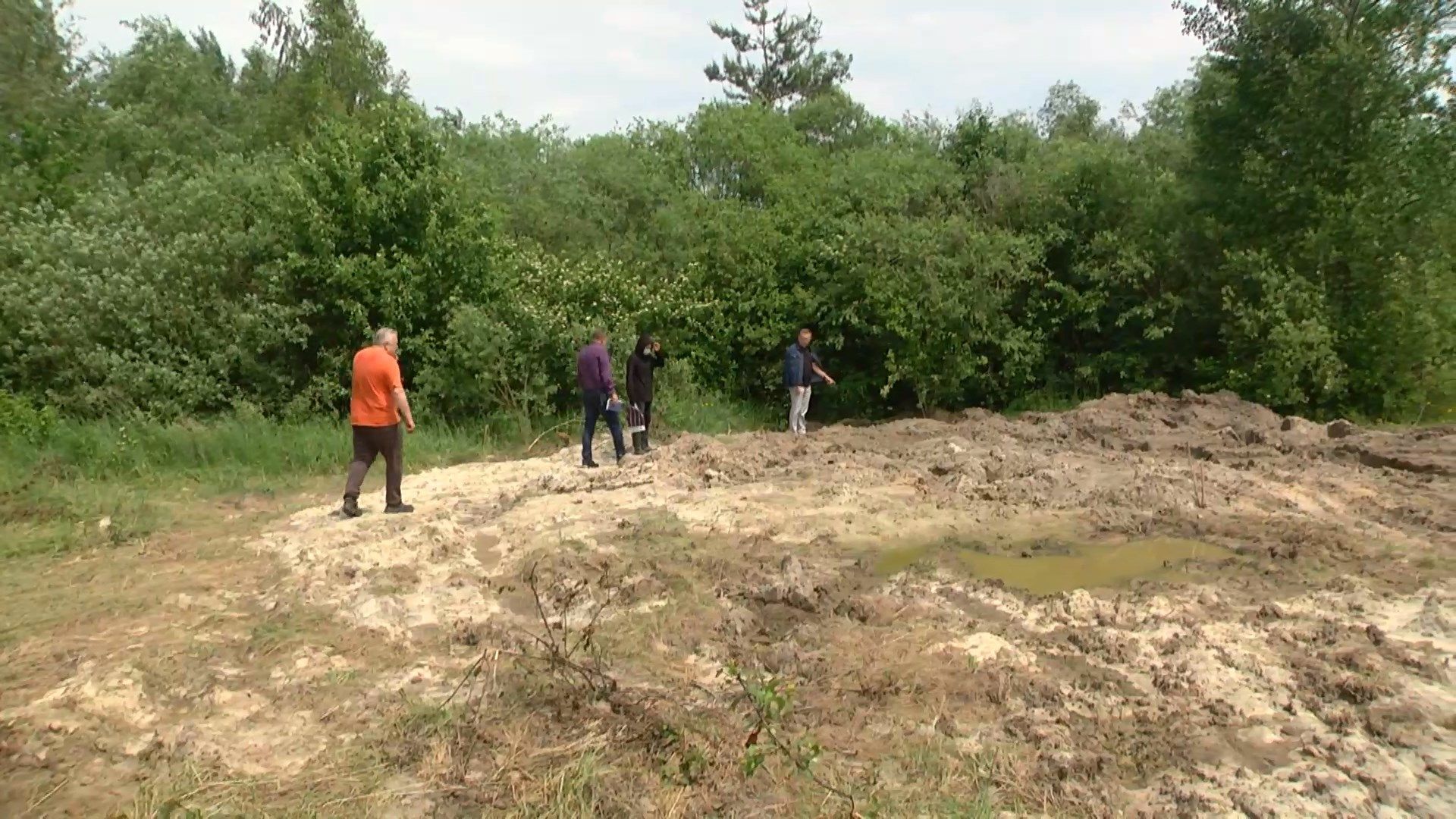 На Львівщині на земельних ділянках для військових виявили свинячий могильник: відео