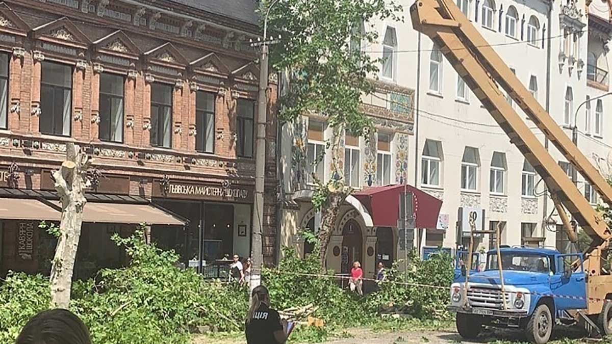 "Врятуйте дерева Дніпра!" – активістка звернулася до Зеленського "Врятуйте дерева Дніпра!" – активістка звернулася до Зеленського