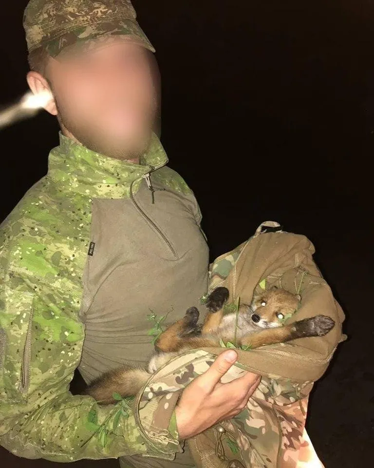 війна війна