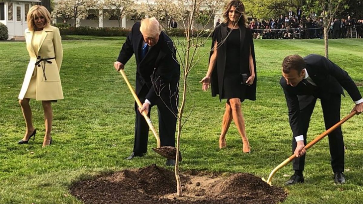 Макрон и Трамп посадили дерево дружбы, а оно погибло