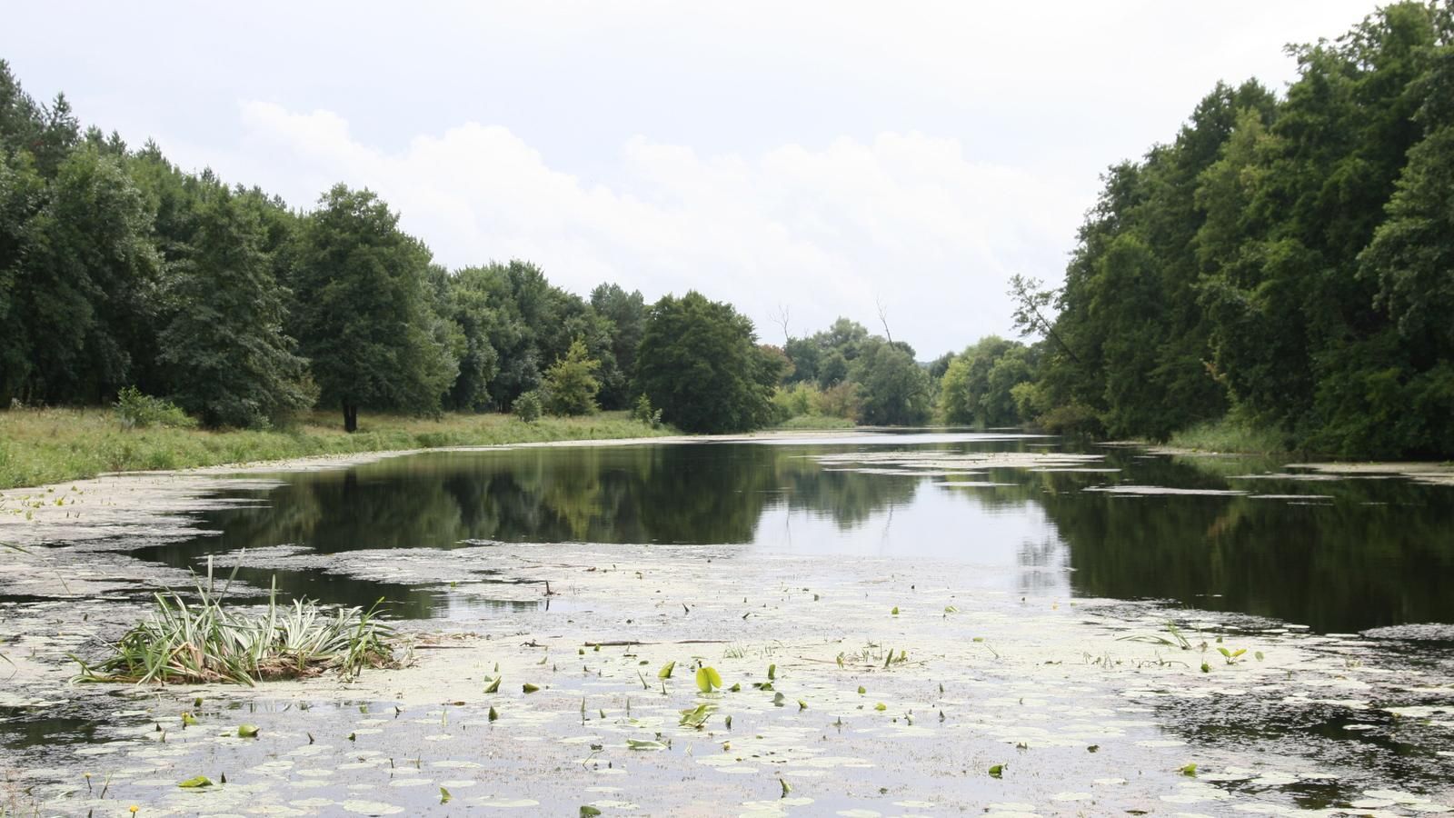 Якою сьогодні є екологічна ситуація на Вінниччині через аварію на Росі Якою сьогодні є екологічна ситуація на Вінниччині через аварію на Росі
