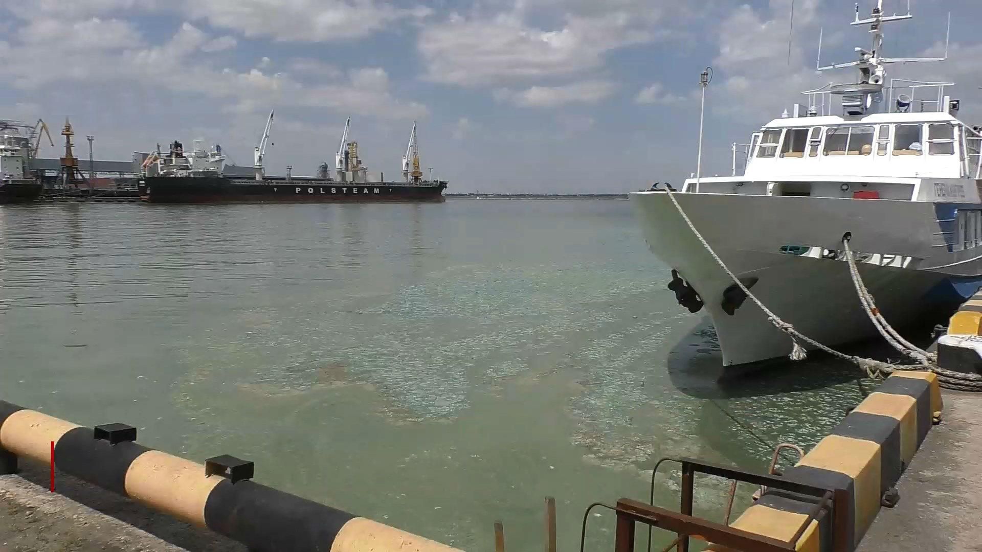 Зелене море в Одесі: екологи розповіли, коли воно стане чистішим Зелене море в Одесі: екологи розповіли, коли воно стане чистішим