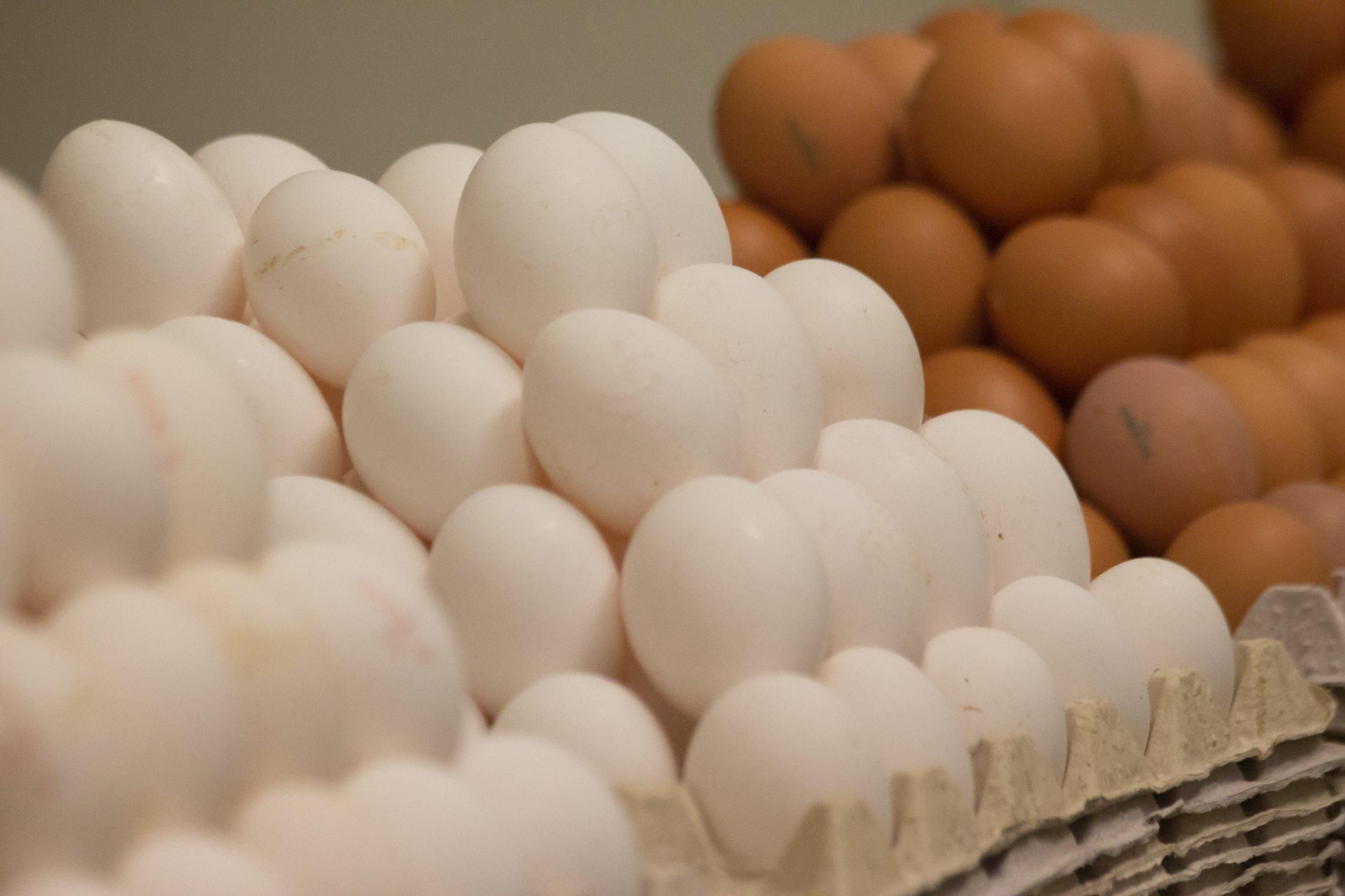 Яєчний цінопад: коли і як зміняться цифри на цінниках