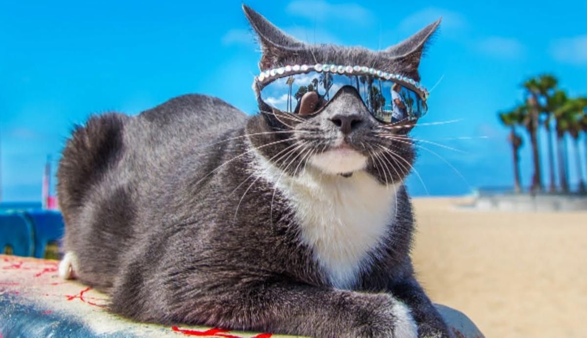 Погода 14 червня 2019 Україна – прогноз погоди від синоптика Погода 14 червня 2019 Україна – прогноз погоди від синоптика