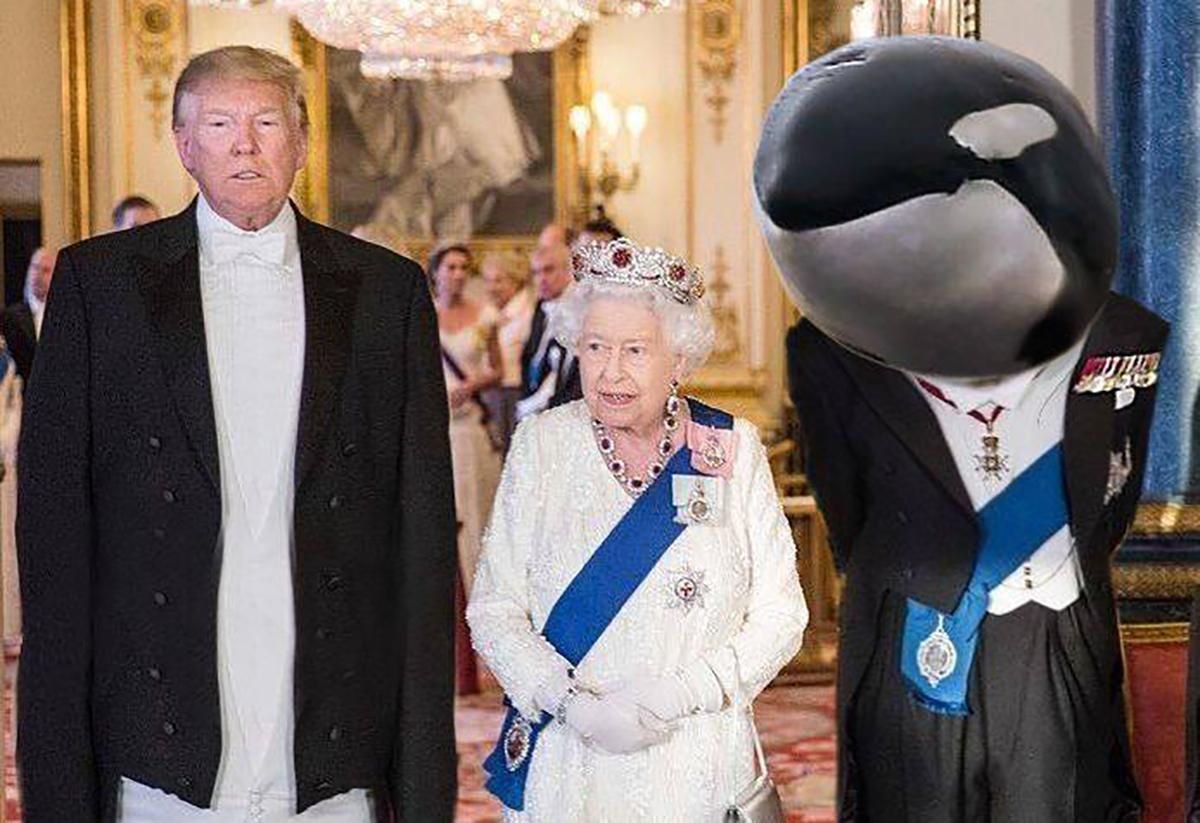 З Трампа глузують у мережі через твіт про зустріч з "принцом китів": кумедні меми