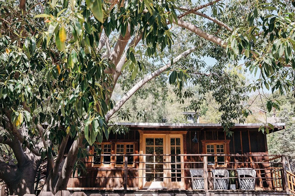 Будинок Лани Дель Рей / David Anderson Будинок Лани Дель Рей / David Anderson