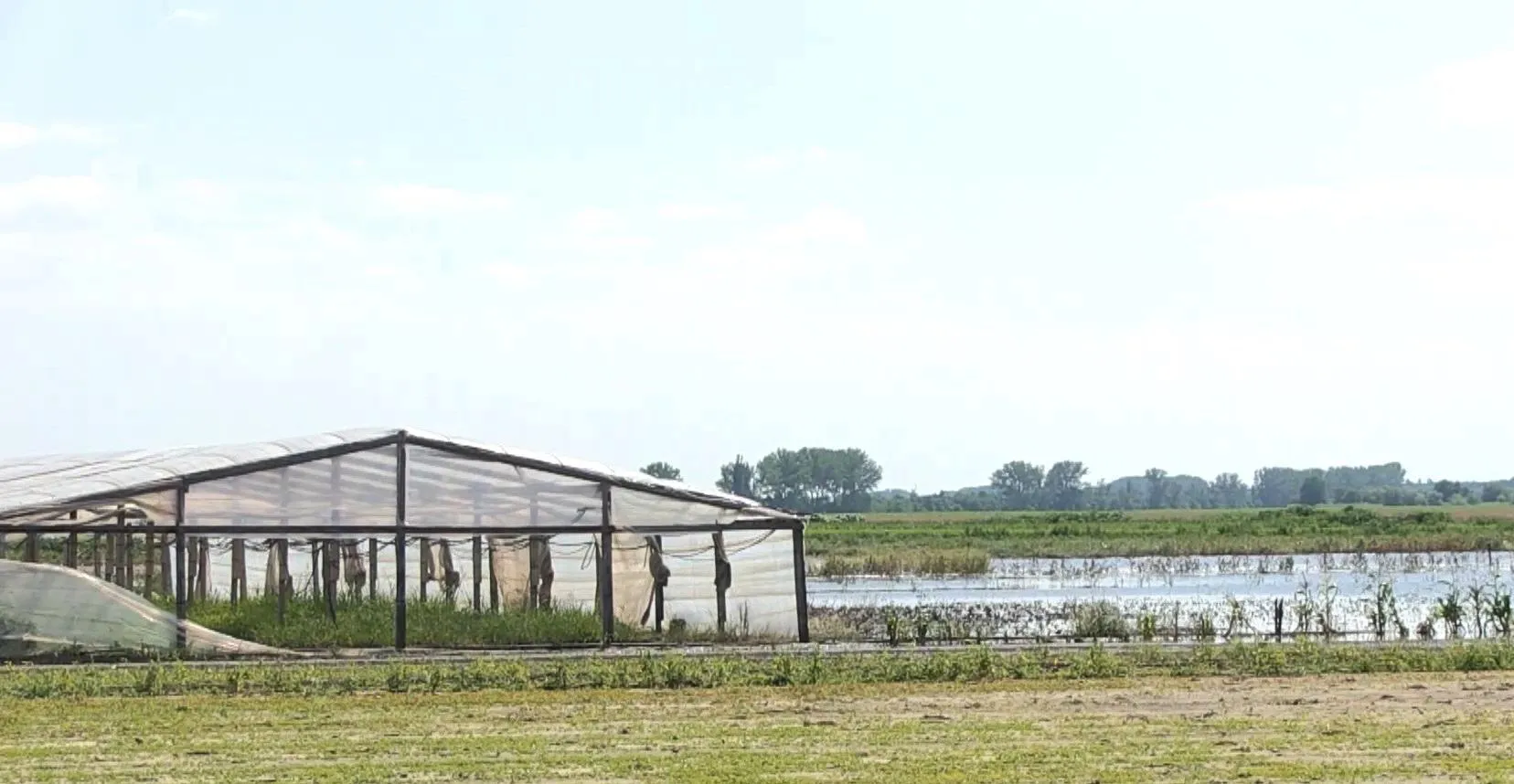 негода на Херсонщині негода на Херсонщині