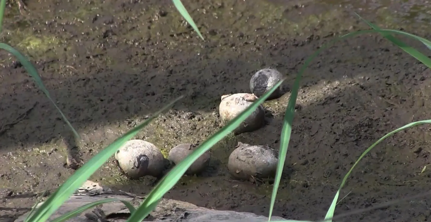 Негода на Херсонщині Негода на Херсонщині