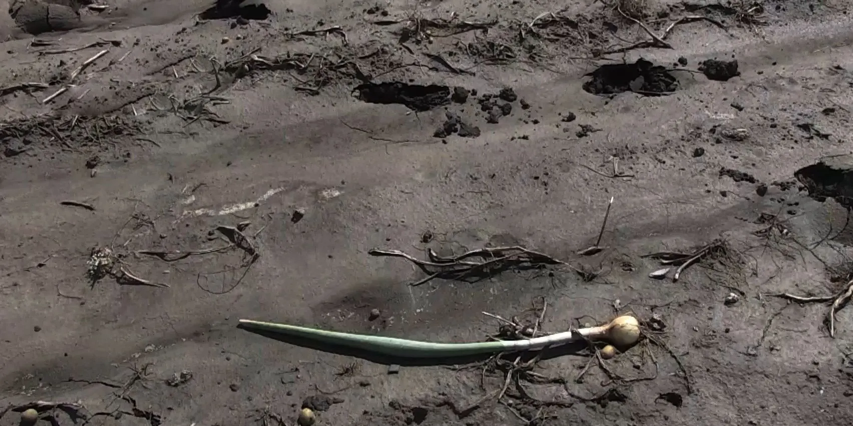 негода не Херсонщині негода не Херсонщині