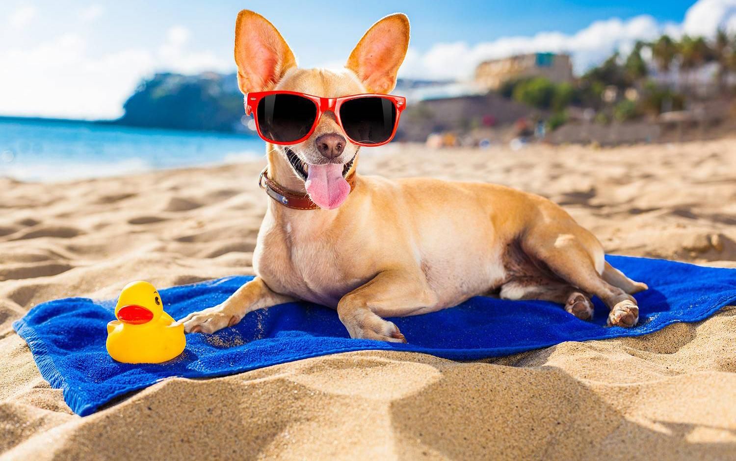 Погода 20 июня 2019 Украина - прогноз погоды синоптика Погода 20 июня 2019 Украина - прогноз погоды синоптика