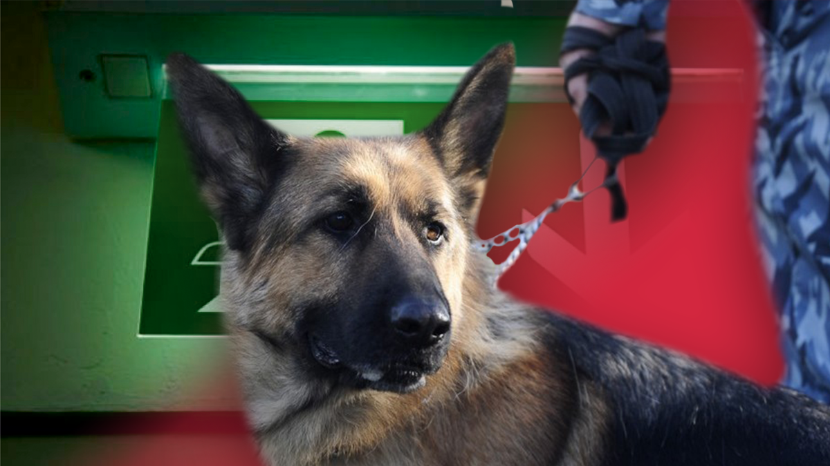 Сколько объектов в Украине "минировали" от начала года и как много шутников наказаны