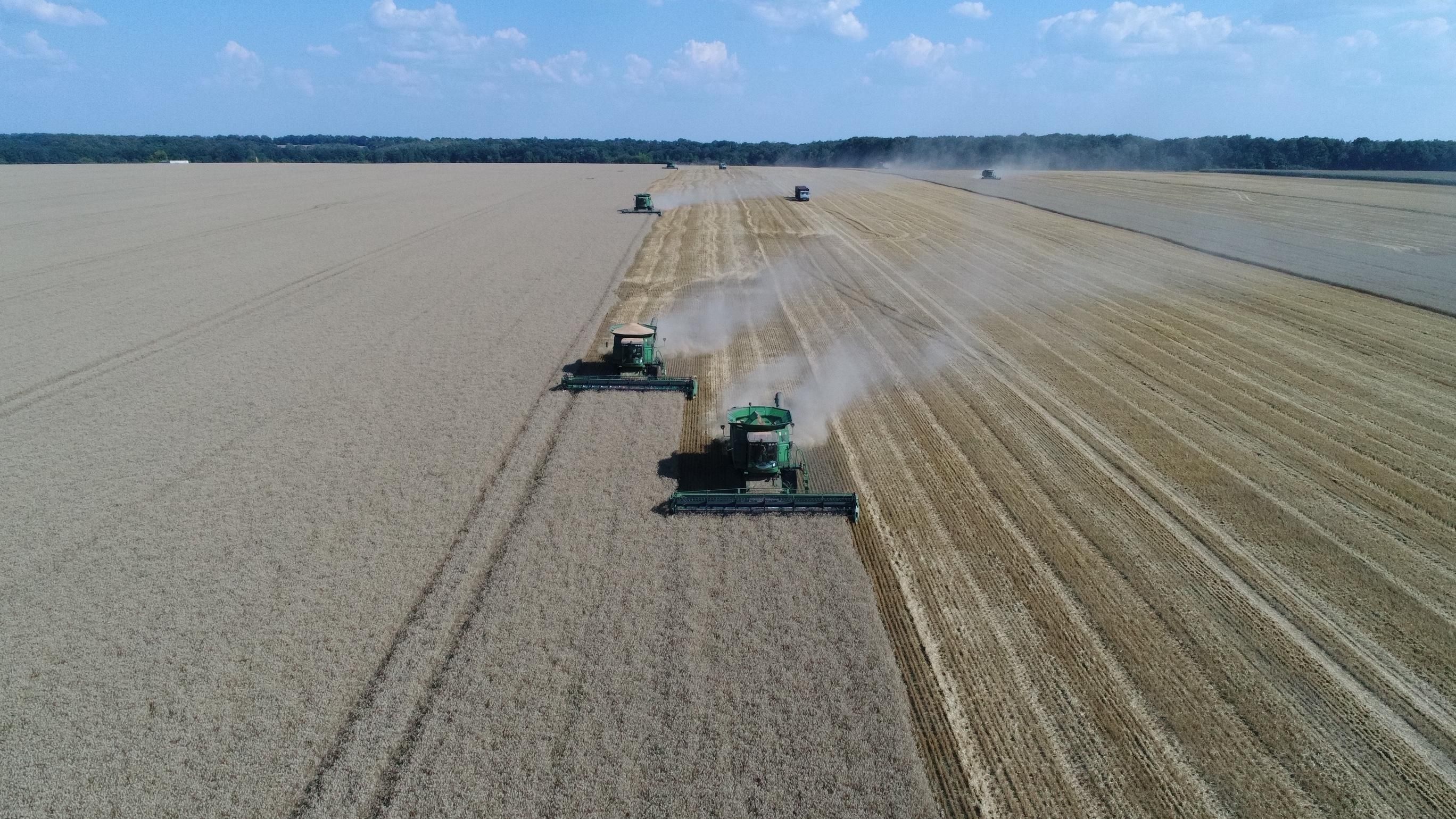 В "Укрлендфармінгу" Бахматюка прогнозують високий урожай озимих зернових