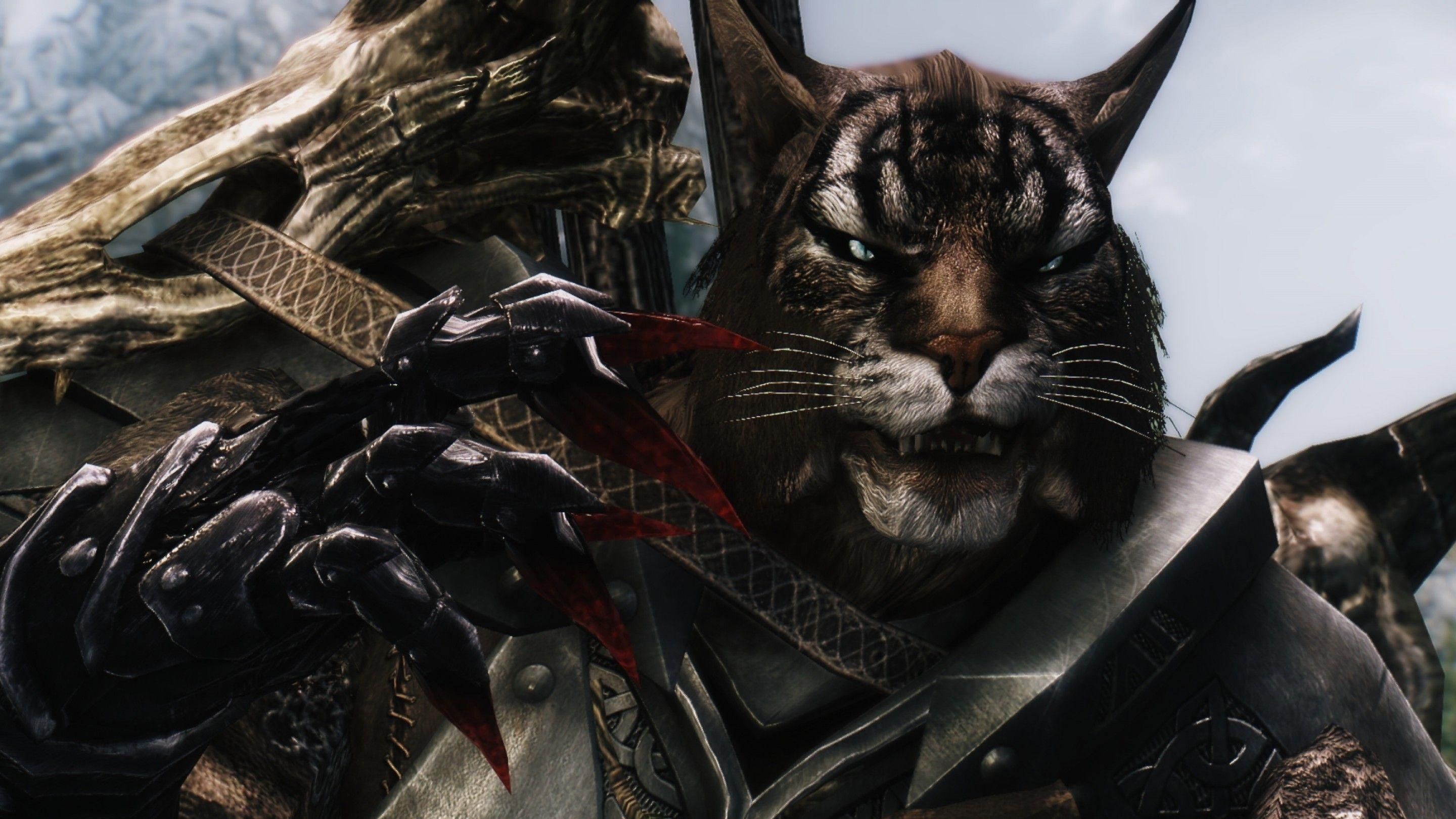 Студія Bethesda допомагатиме безпритульним котикам Студія Bethesda допомагатиме безпритульним котикам