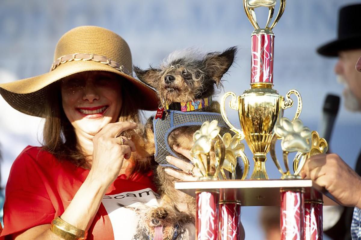 У США обрали найпотворнішого собаку у світі: кумедні фото переможця