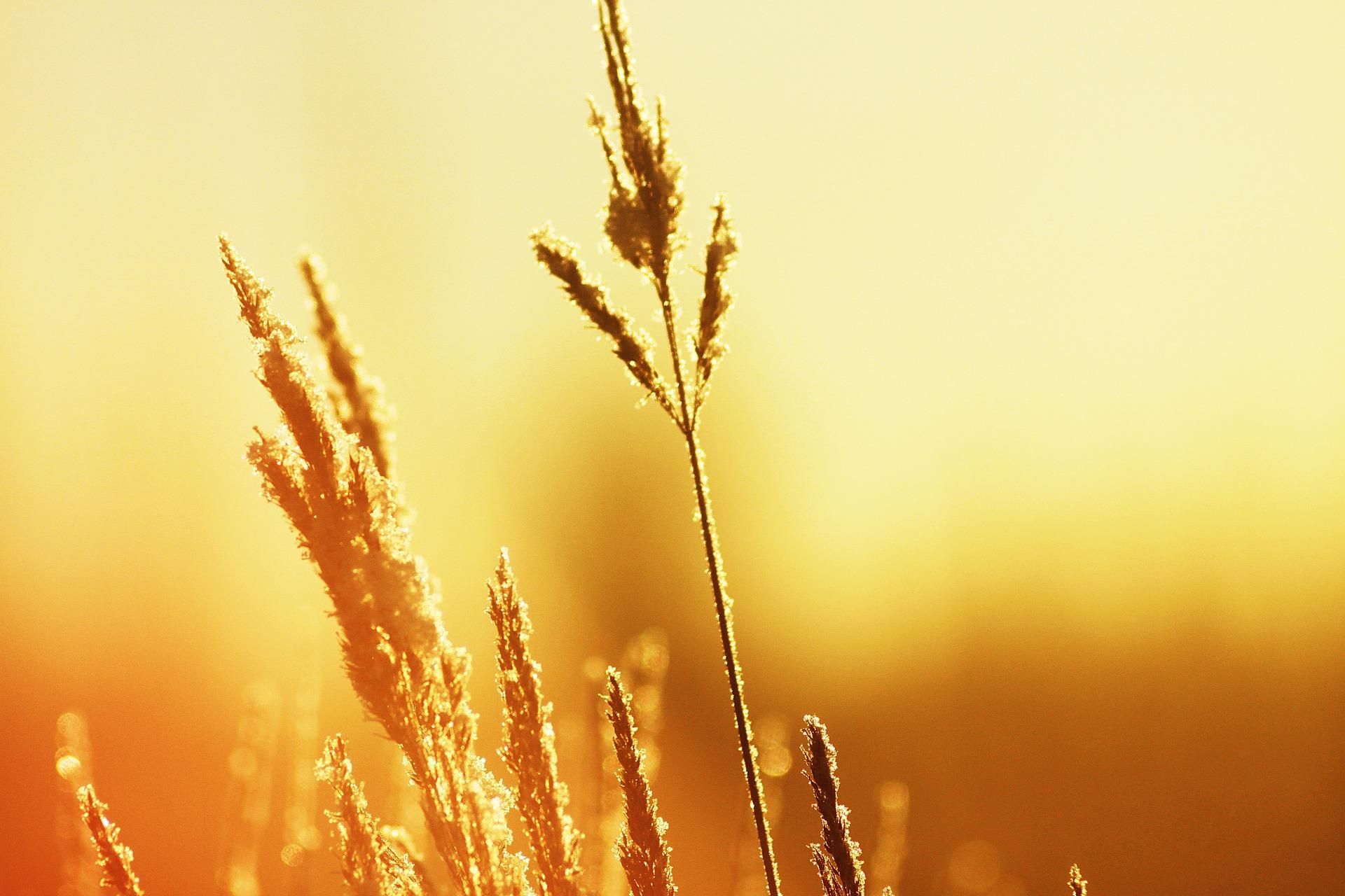 Погода 26 июня 2019 Украина - какую погоду обещают синоптики Погода 26 июня 2019 Украина - какую погоду обещают синоптики