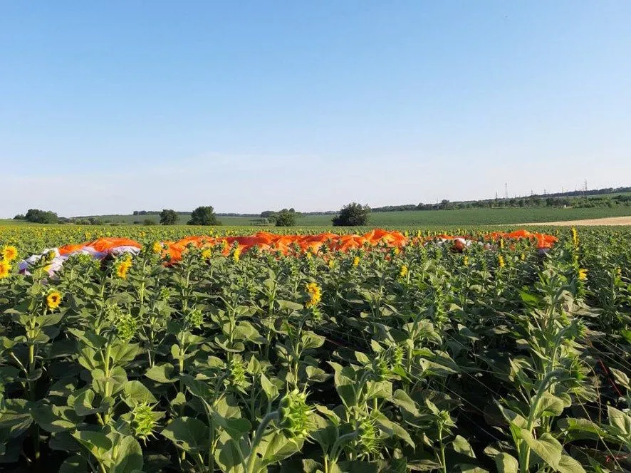 Полтавщина, дельтаплан, падіння, жертви 