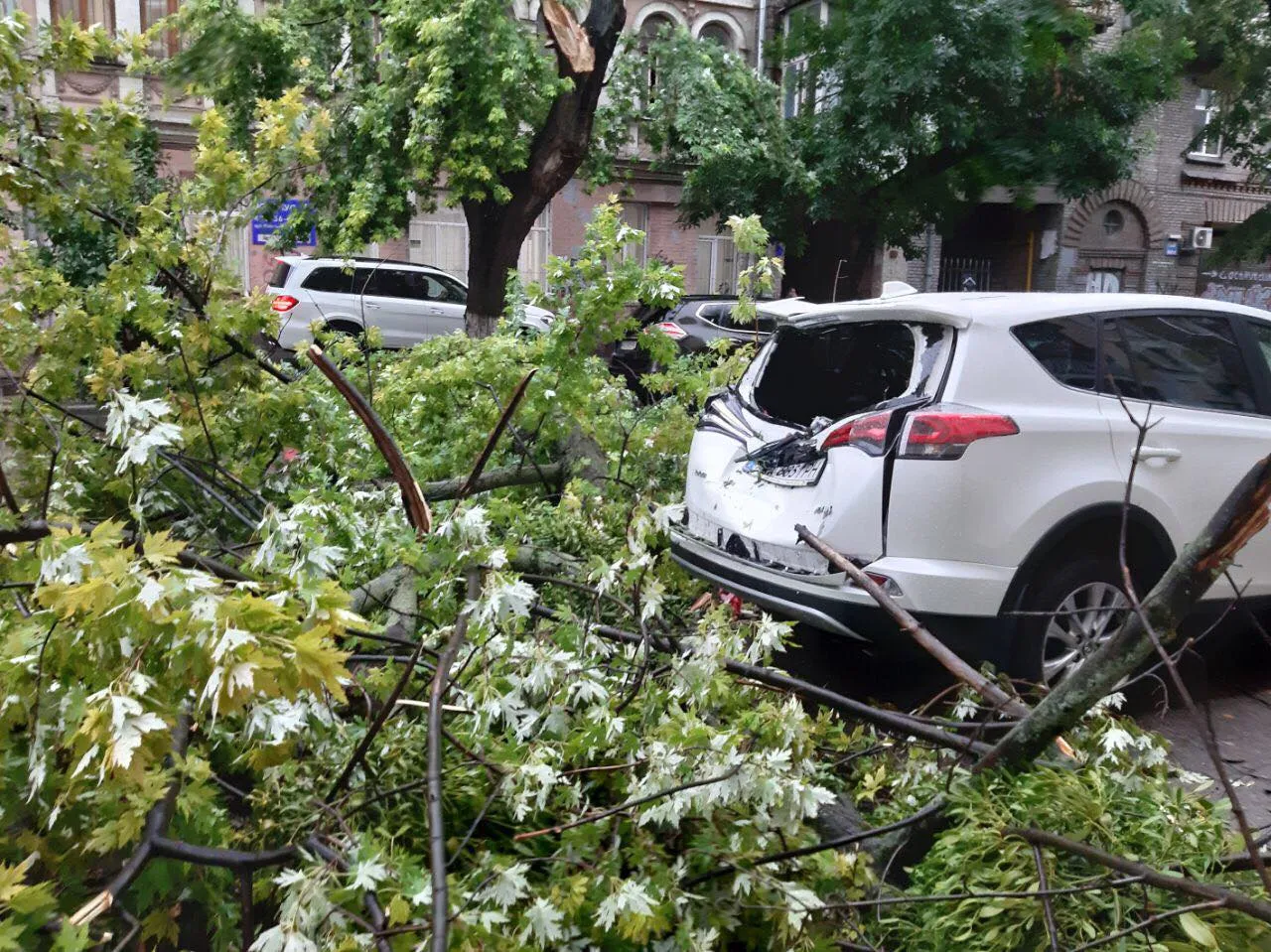 поломані дерева ураган шторм дощ Київ