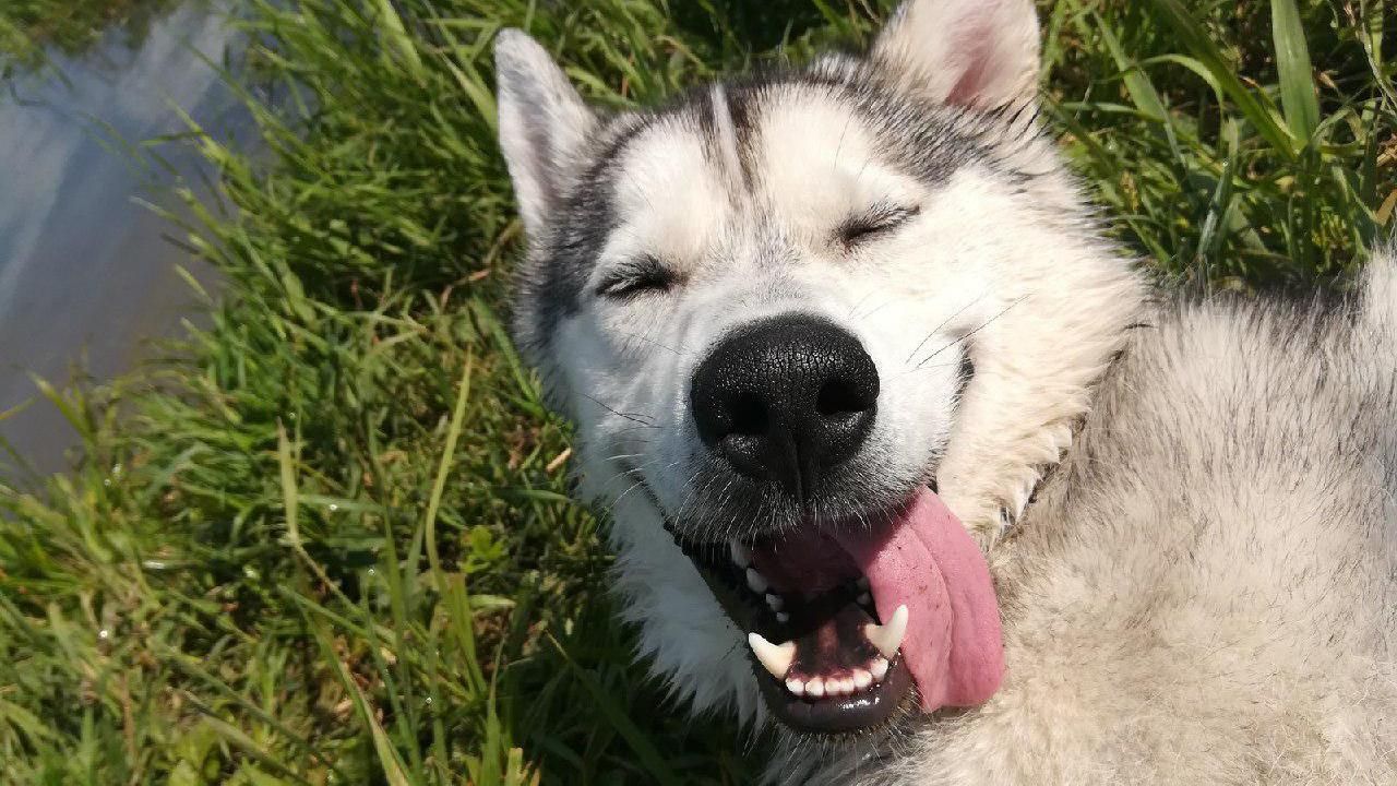 Погода 29 червня 2019 Київ, Львів, Одеса та міста України - яку погоду обіцяє синоптик Погода 29 червня 2019 Київ, Львів, Одеса та міста України - яку погоду обіцяє синоптик