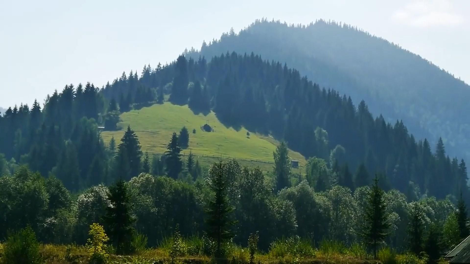 Період літніх відпусток: які неймовірні місця варто відвідати в Україні Період літніх відпусток: які неймовірні місця варто відвідати в Україні