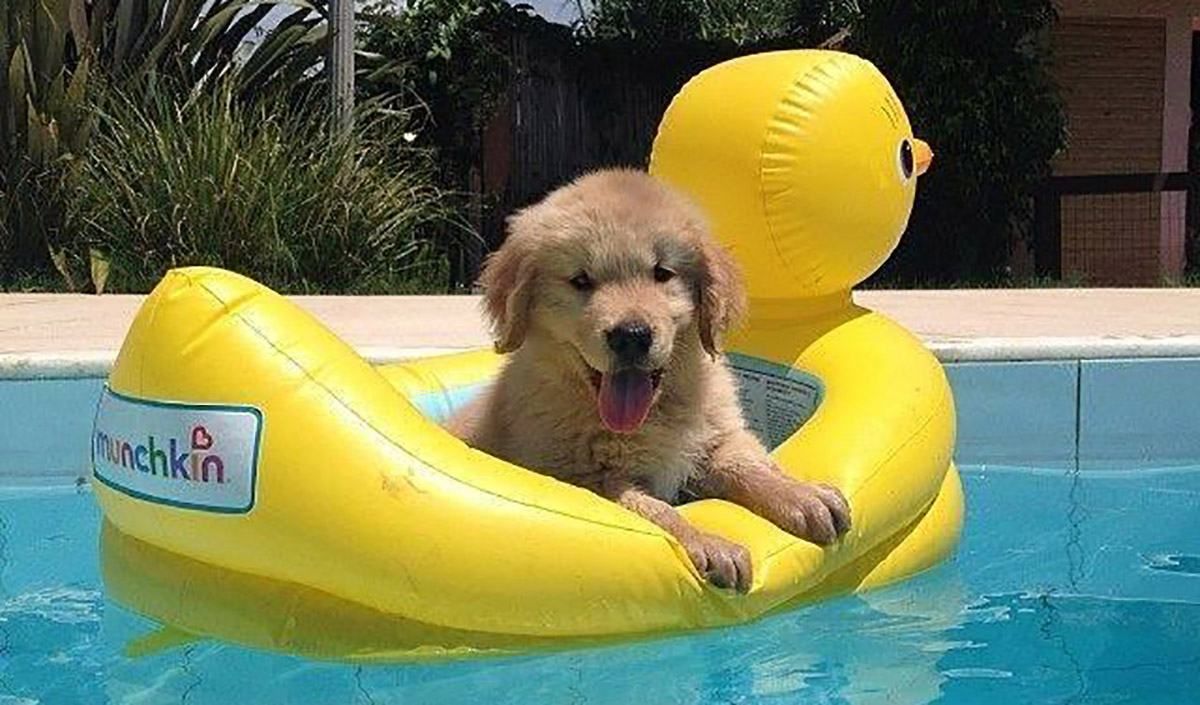 Погода на липень2019 Україна – якою буде погода у липні 2019 Погода на липень2019 Україна – якою буде погода у липні 2019