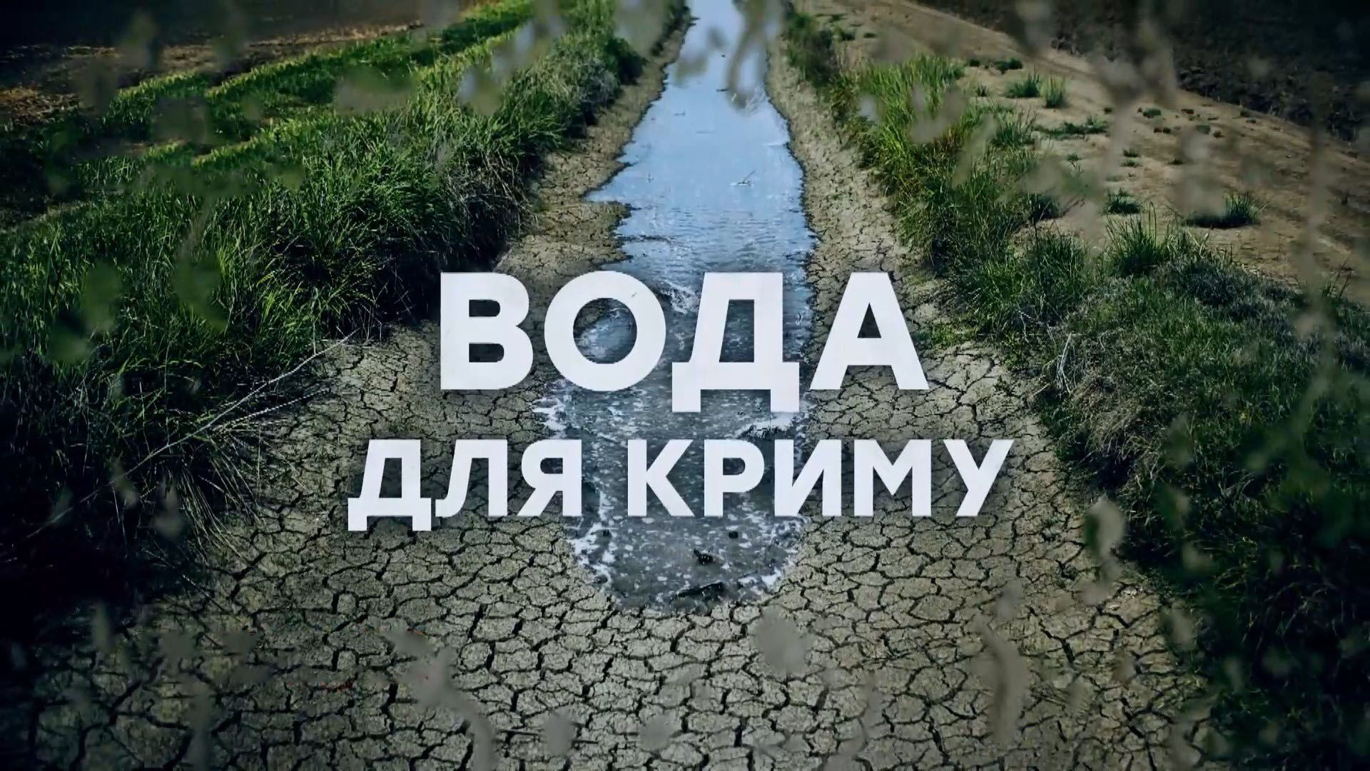Чи перетвориться Крим без дніпровської води на пустелю: реакція Путіна