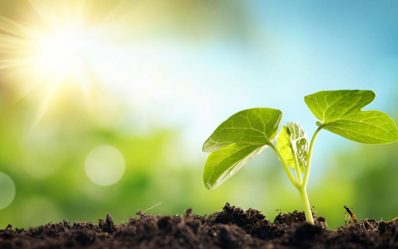 Украина единственная в Европе не имеет обязательного экологического мониторинга