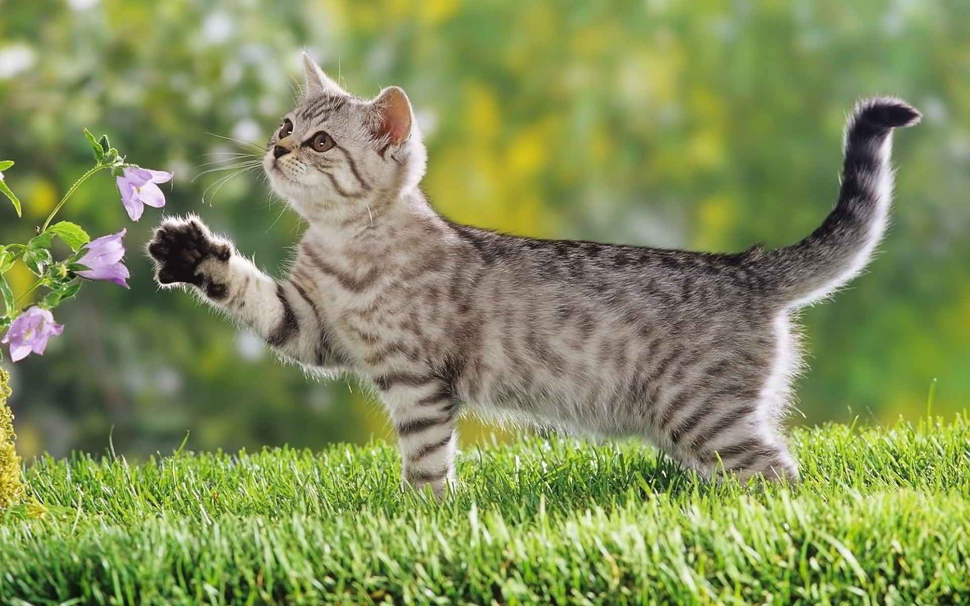 Погода 3 июля 2019 - жара в Украине начнет спадать Погода 3 июля 2019 - жара в Украине начнет спадать