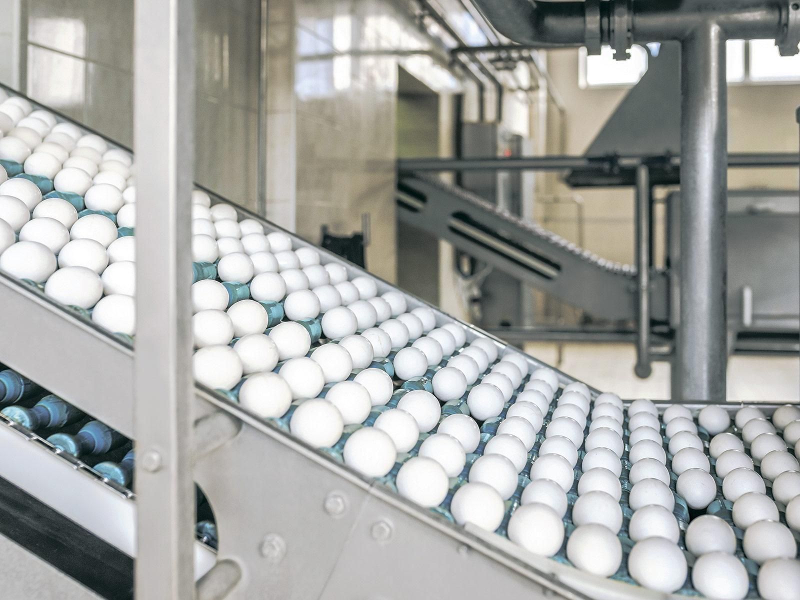 Птахофабрика "Авіс" увійшла в ТОП-50 найбільш інноваційних підприємств в агросекторі України Птахофабрика "Авіс" увійшла в ТОП-50 найбільш інноваційних підприємств в агросекторі України