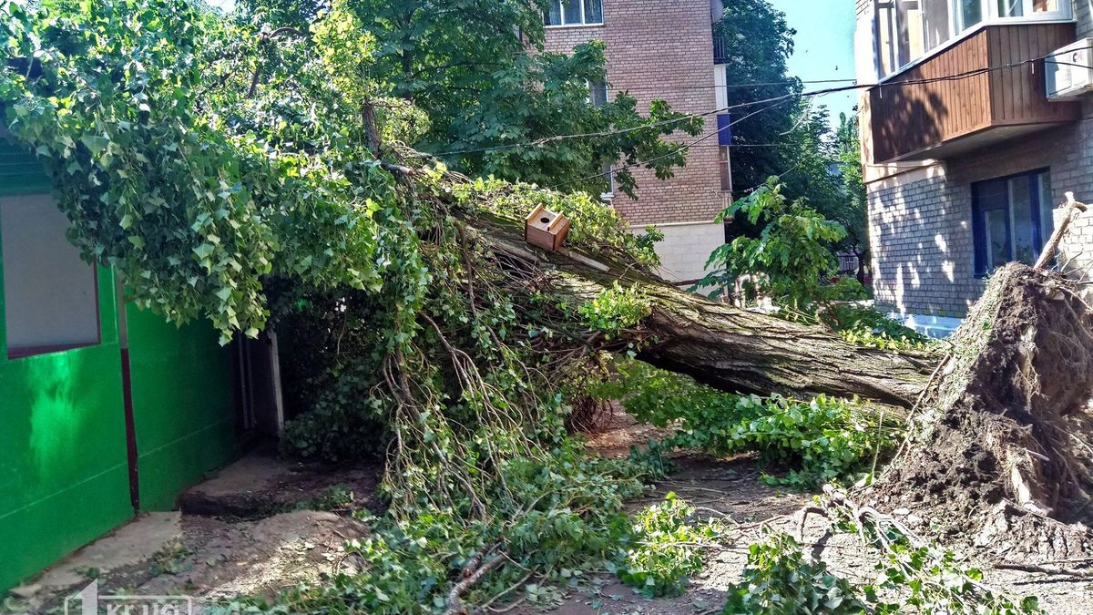 Буря в Кривой Роге 2 июля 2019 – фото, видео урагана