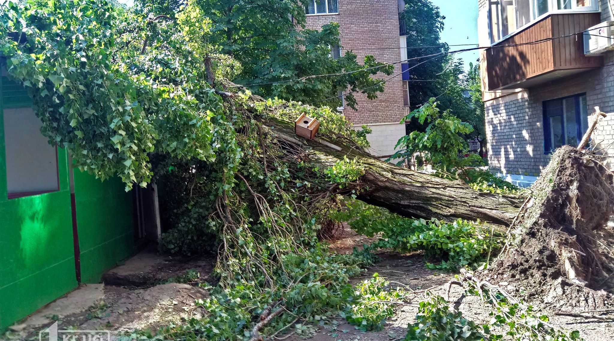 Буря в Кривой Роге 2 июля 2019 – фото, видео урагана Буря в Кривой Роге 2 июля 2019 – фото, видео урагана