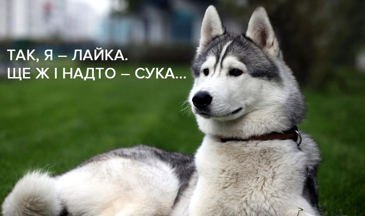 О ср*ной немощи мата и ярких примерах грамотного сквернословия (18+) О ср*ной немощи мата и ярких примерах грамотного сквернословия (18+)