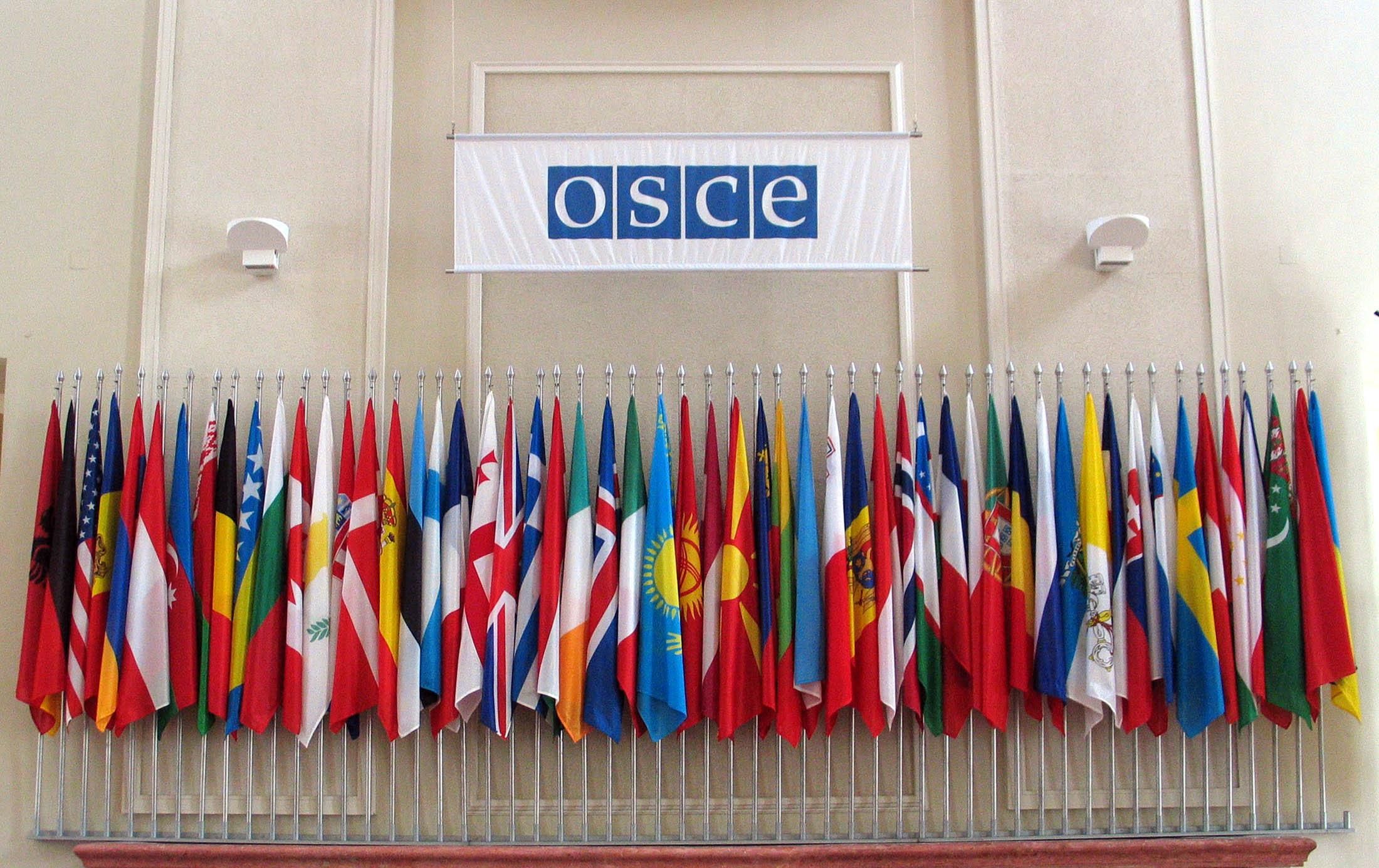 ОБСЕ приняла резолюцию относительно Крыма, несмотря на яростное сопротивление россиян