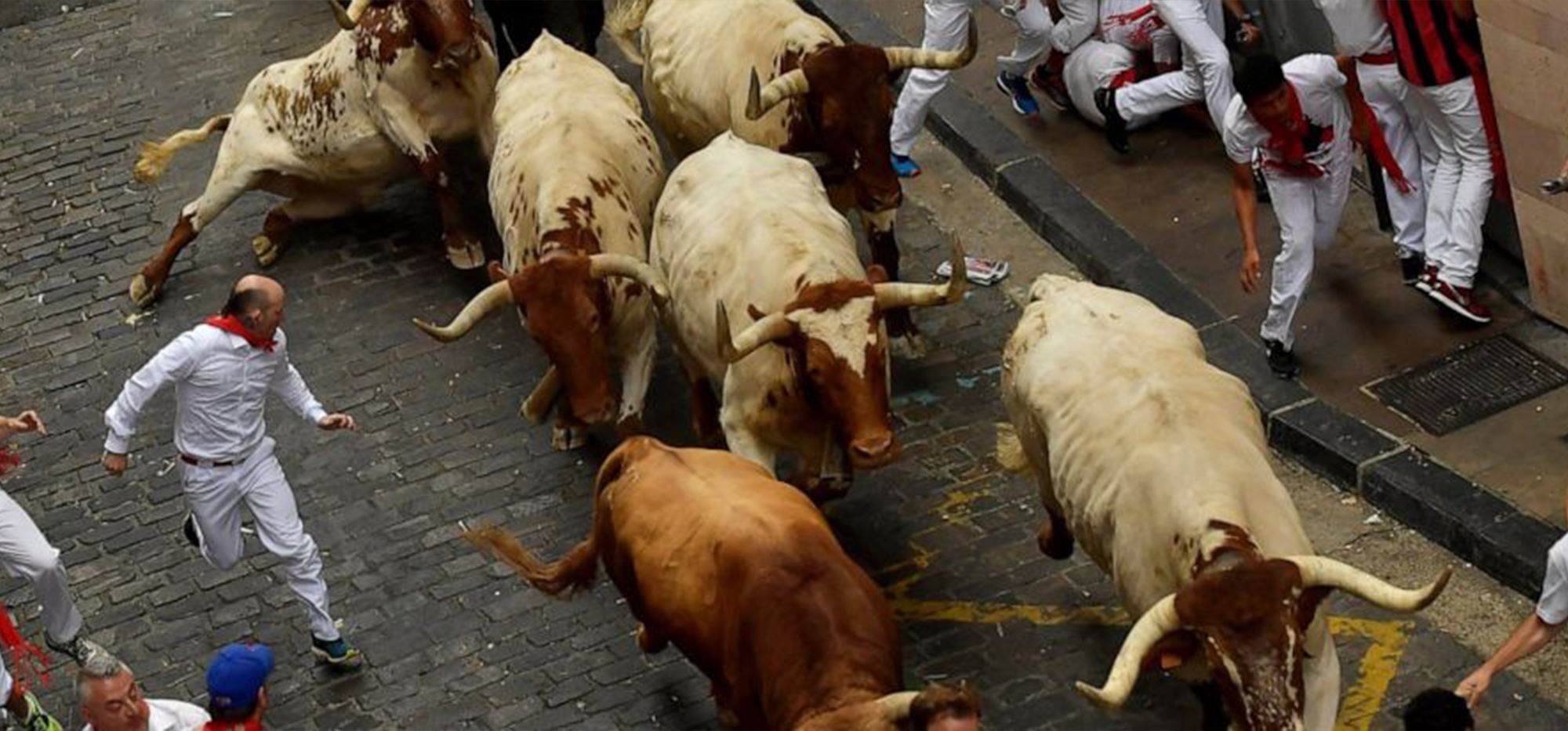 В первые минуты забега быков в Испании пострадали люди: жуткие фото и видео