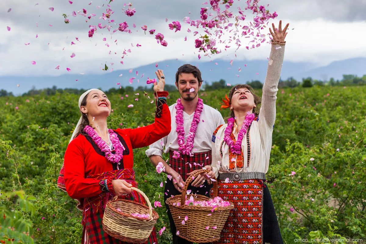 болгарія долина троянд болгарія долина троянд