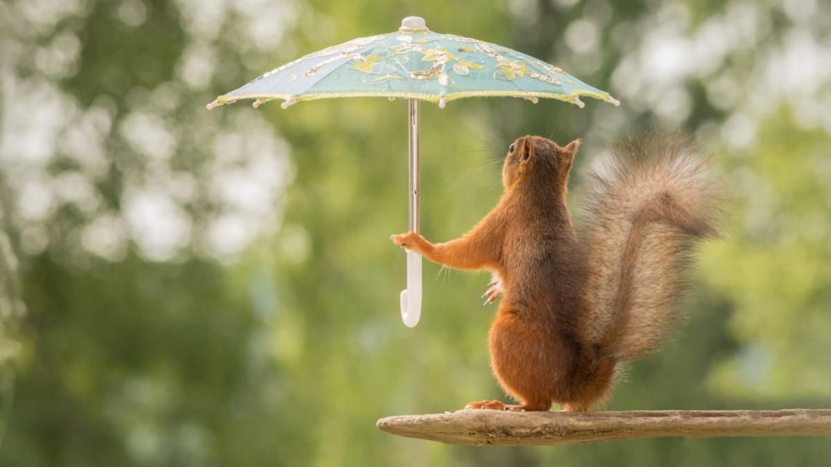 Прогноз погоды на 10 июля 2019 Украина - что обещают синоптики Прогноз погоды на 10 июля 2019 Украина - что обещают синоптики