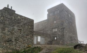 У Карпатах почав падати сніг: фото