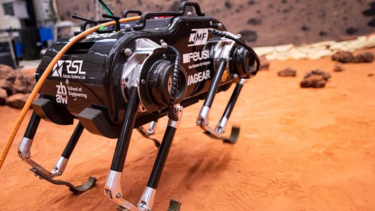 Инженеры сыграли в пинг-понг робопсом: смешное видео Инженеры сыграли в пинг-понг робопсом: смешное видео