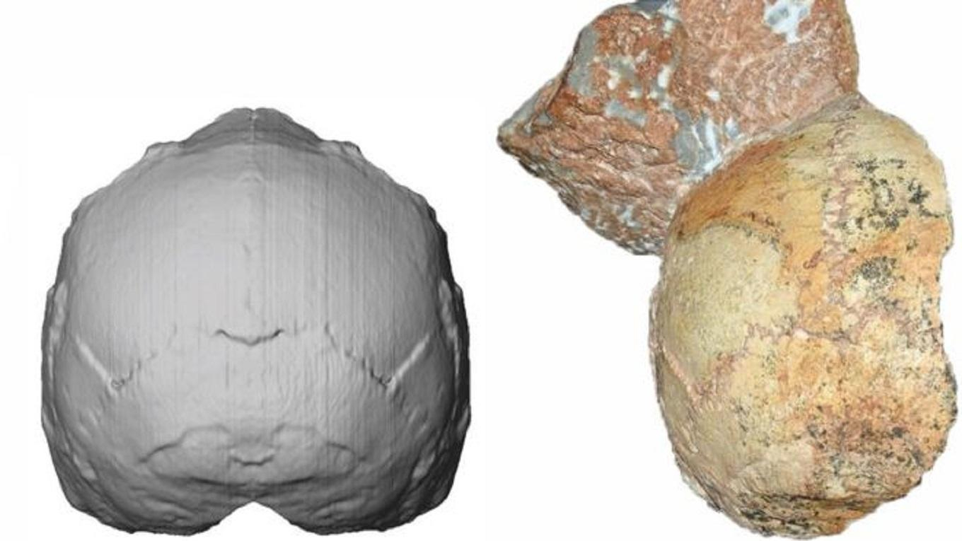 Нашли останки древнейших людей в Европе: это может изменить прежние представления историков
