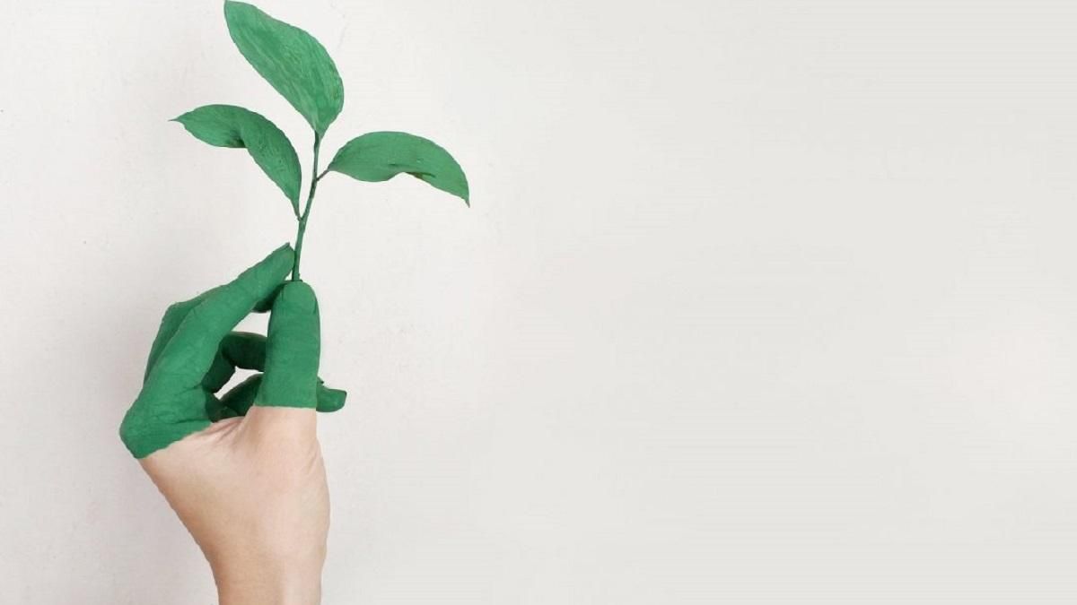 Екологія стала таким же виборчим інструментом, як гречка, – асоціації екологів Екологія стала таким же виборчим інструментом, як гречка, – асоціації екологів