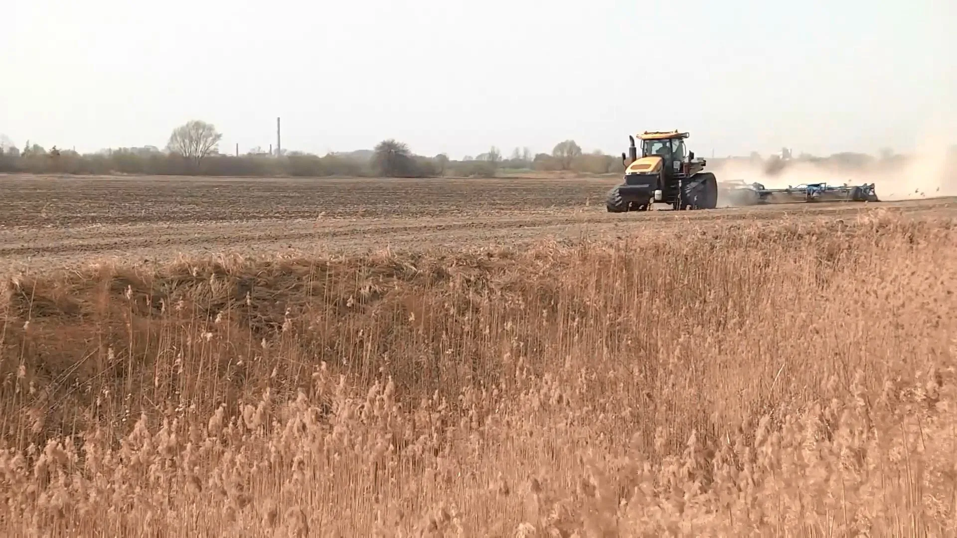 Аграрії Аграрії