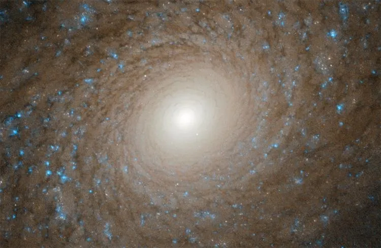 Балдж, космічна спіраль Балдж, космічна спіраль