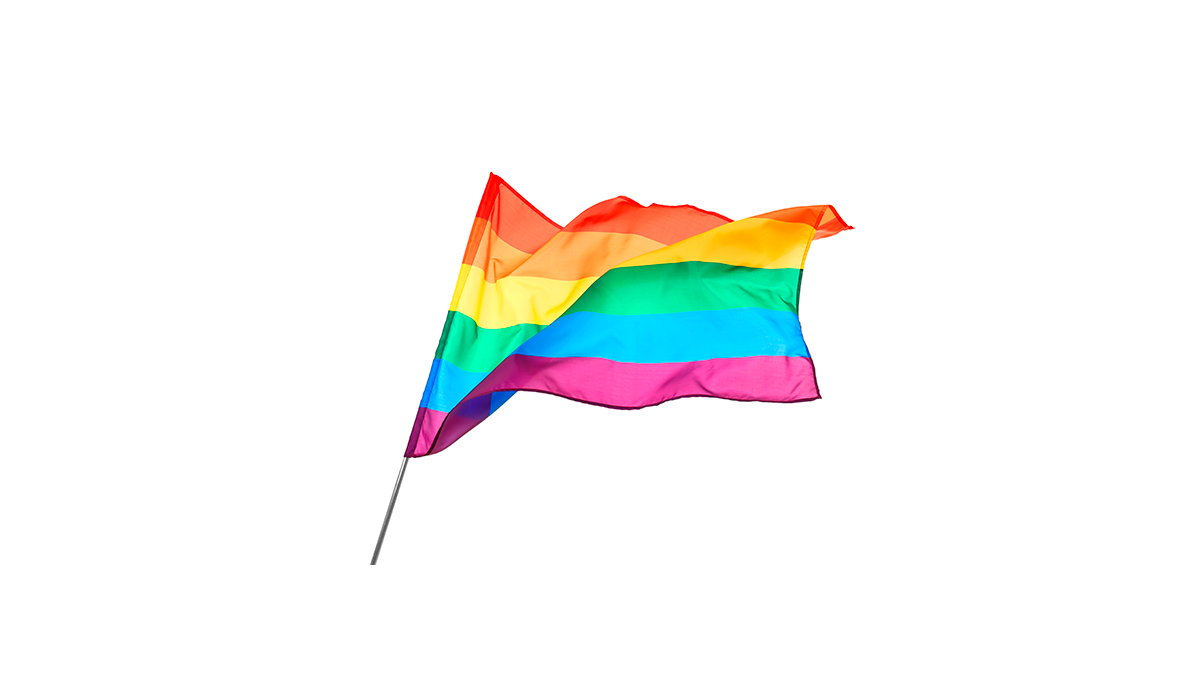 Забезпечення прав ЛГБТ: програми партій, які пройшли у Раду