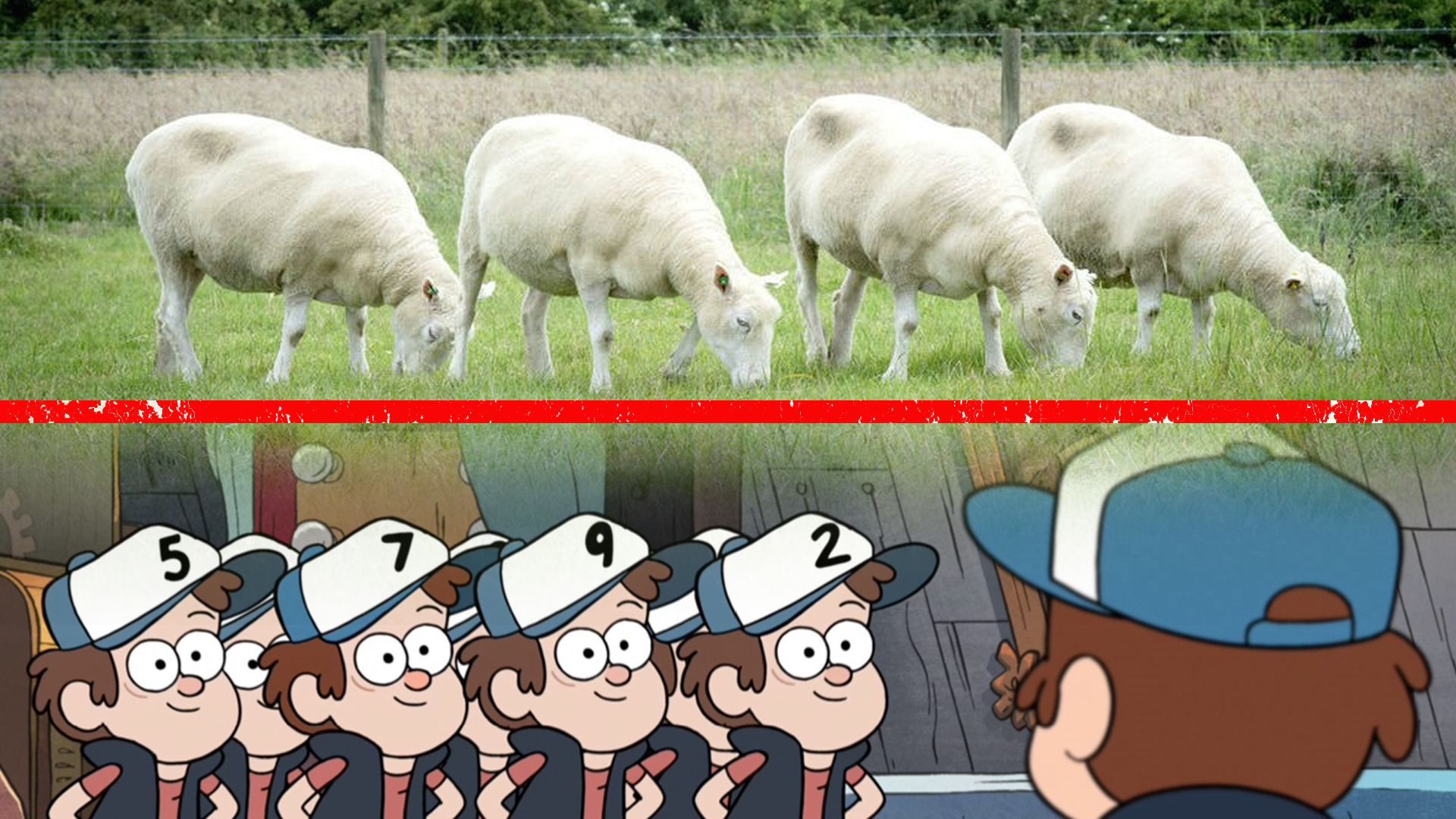 Клоновані кандидати і заморожена піца замість гречки: найскладніші мажоритарні округи 2019 Клоновані кандидати і заморожена піца замість гречки: найскладніші мажоритарні округи 2019