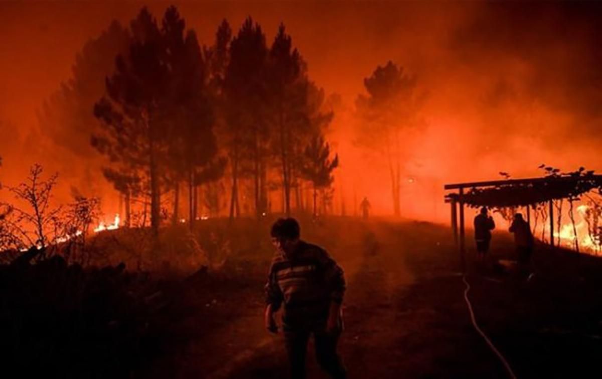 Масштабні пожежі охопили Португалію: українцям радять не відвідувати цю країну