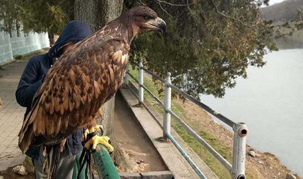 В Крыму избили туристов, которые не захотели платить за фото: видео В Крыму избили туристов, которые не захотели платить за фото: видео