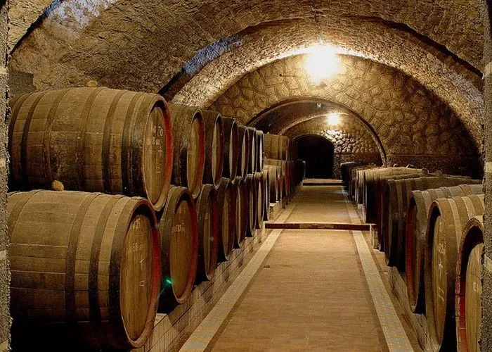Центр культури вина Шабо