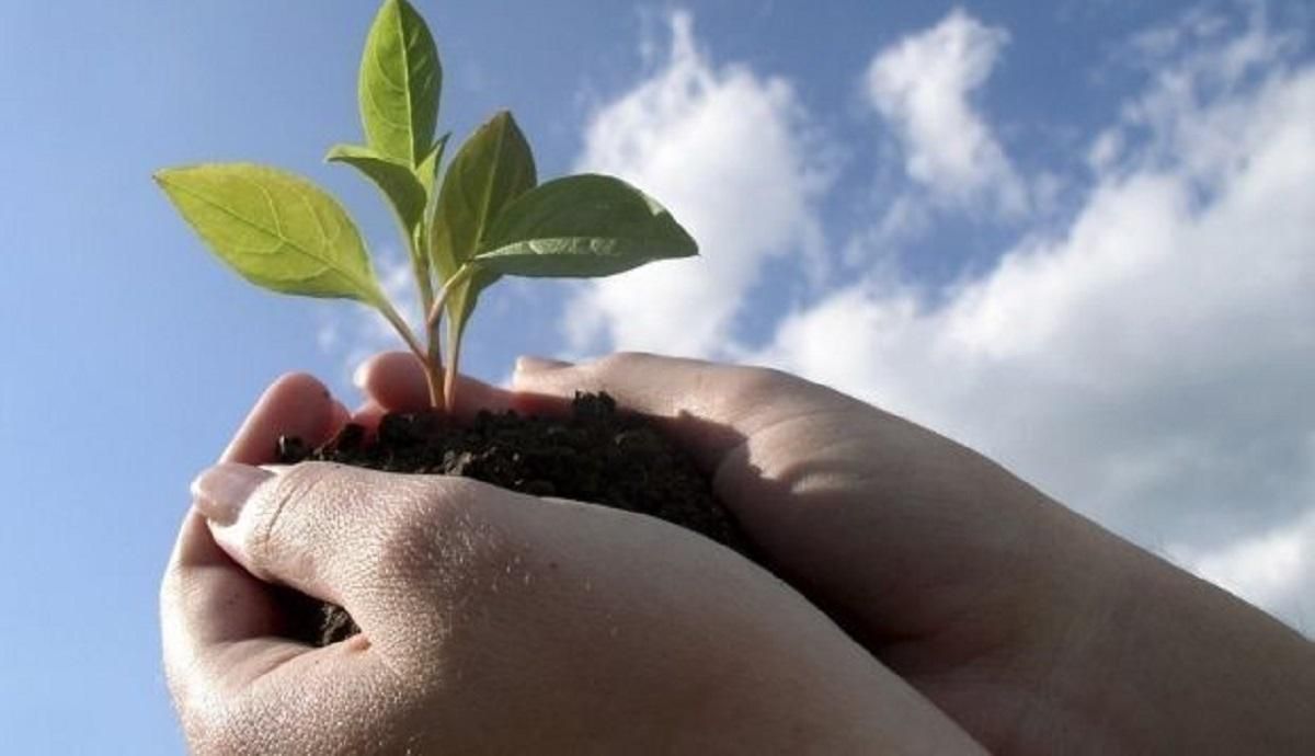 Манипуляции на экологической теме продолжатся и после выборов, – энергоэксперт Манипуляции на экологической теме продолжатся и после выборов, – энергоэксперт