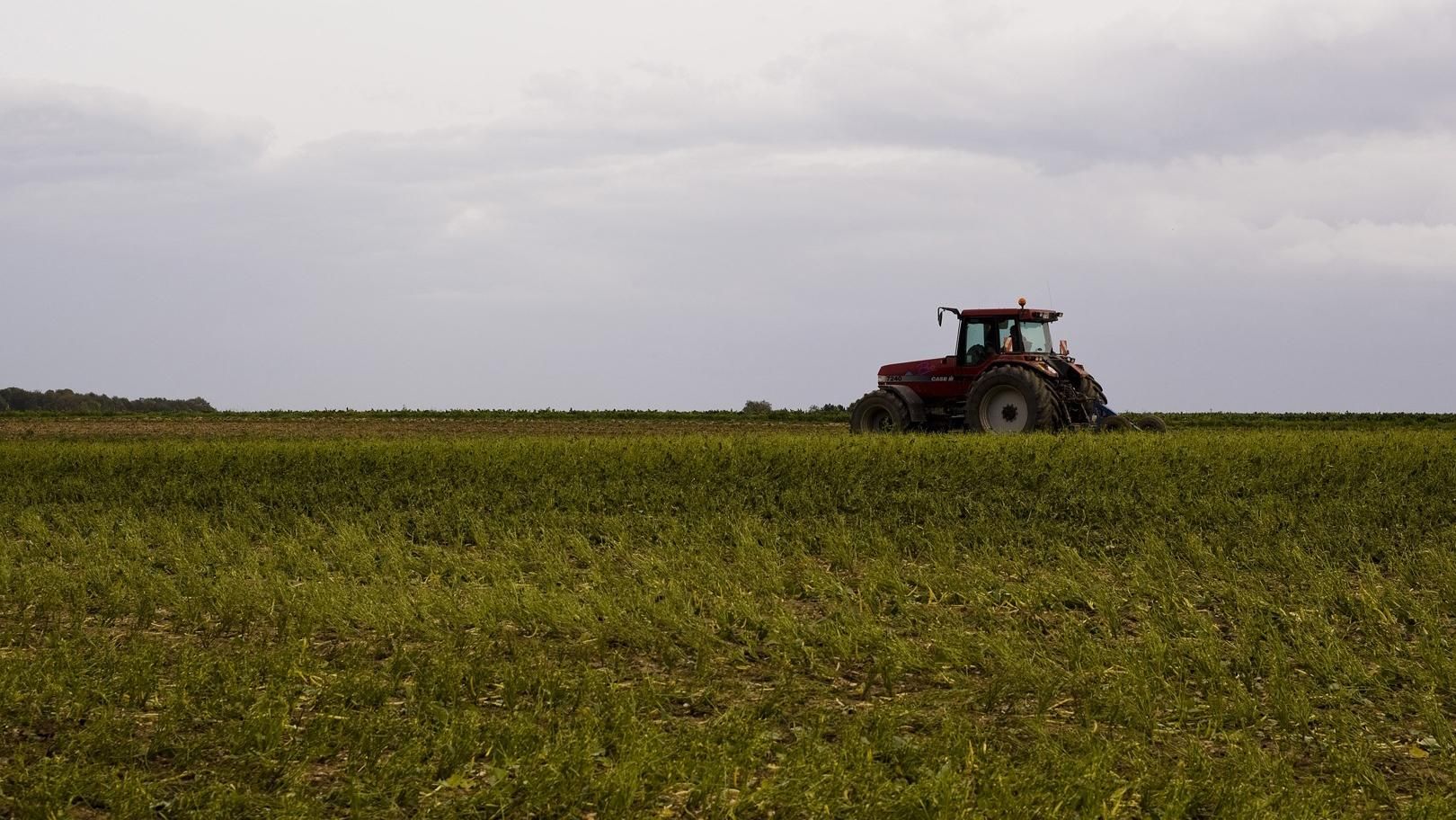 Чоловік на тракторі підірвався на окупованому Донбасі Чоловік на тракторі підірвався на окупованому Донбасі